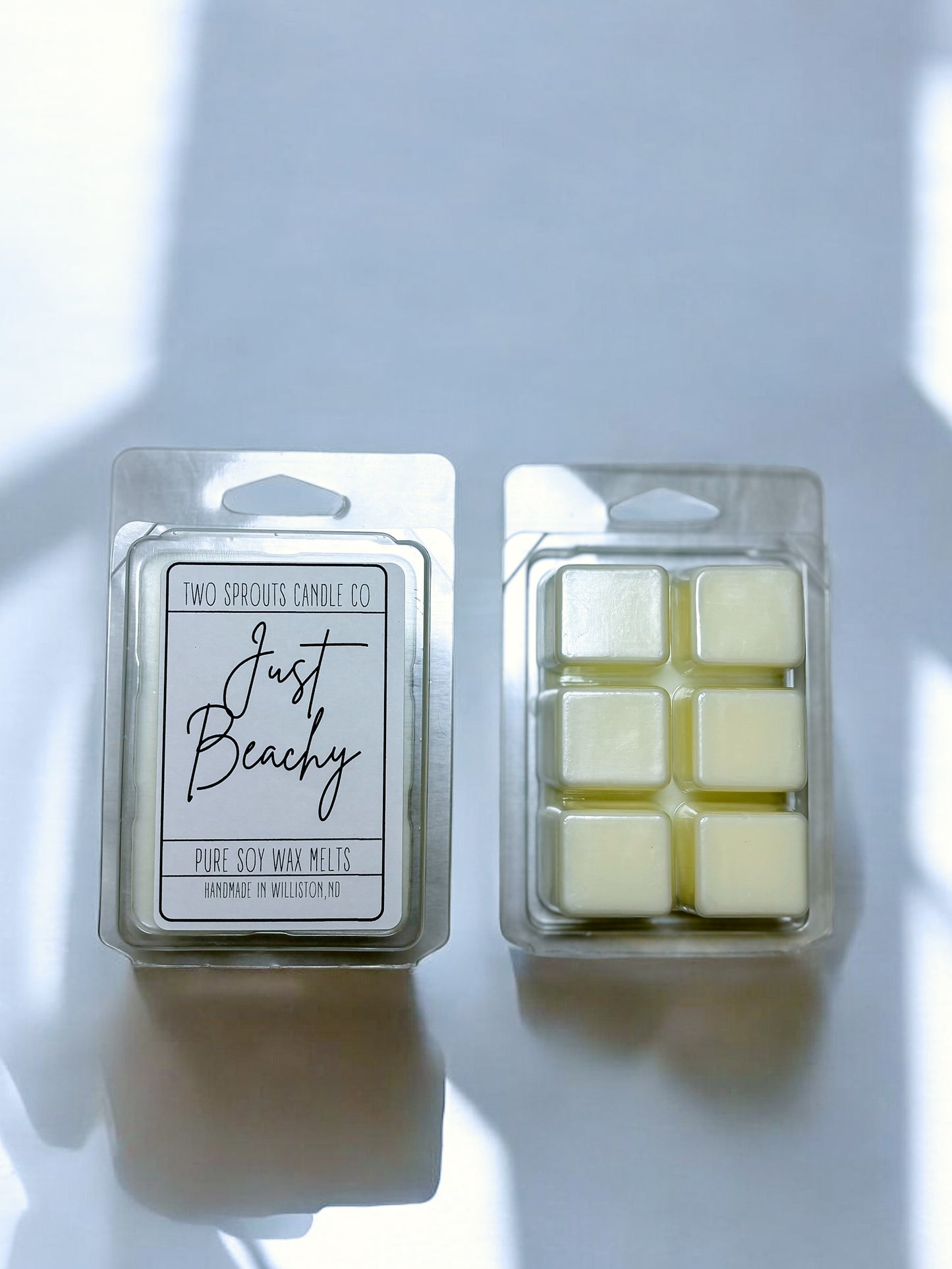 Just Beachy Wax Melts