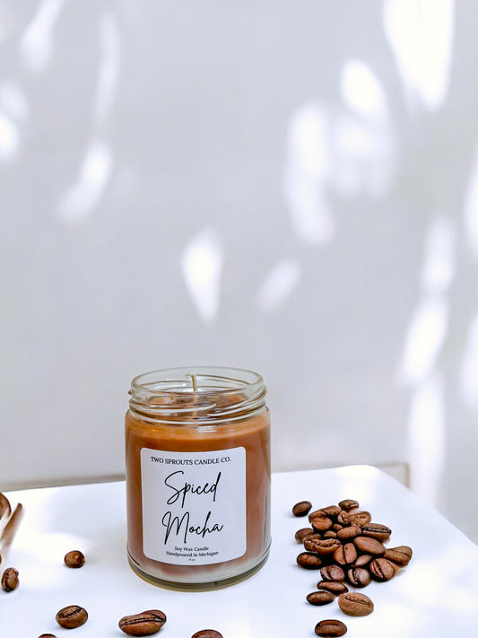 9 oz Spiced Mocha Candle with cubes