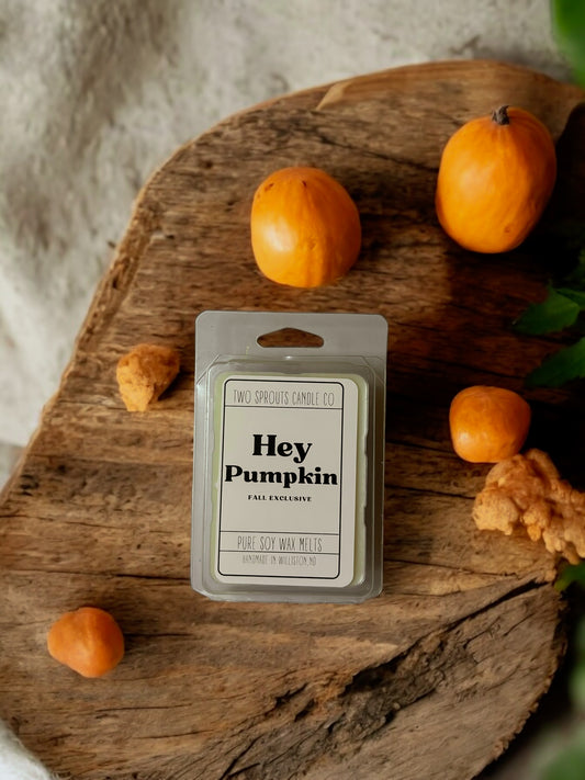 Hey Pumpkin Wax Melts